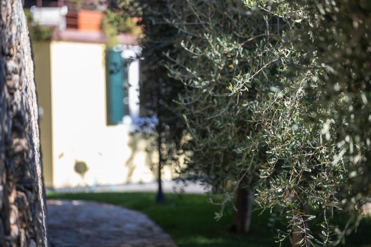 Hotel La Sterlizia Di Santa Croce Alassio Exteriér fotografie
